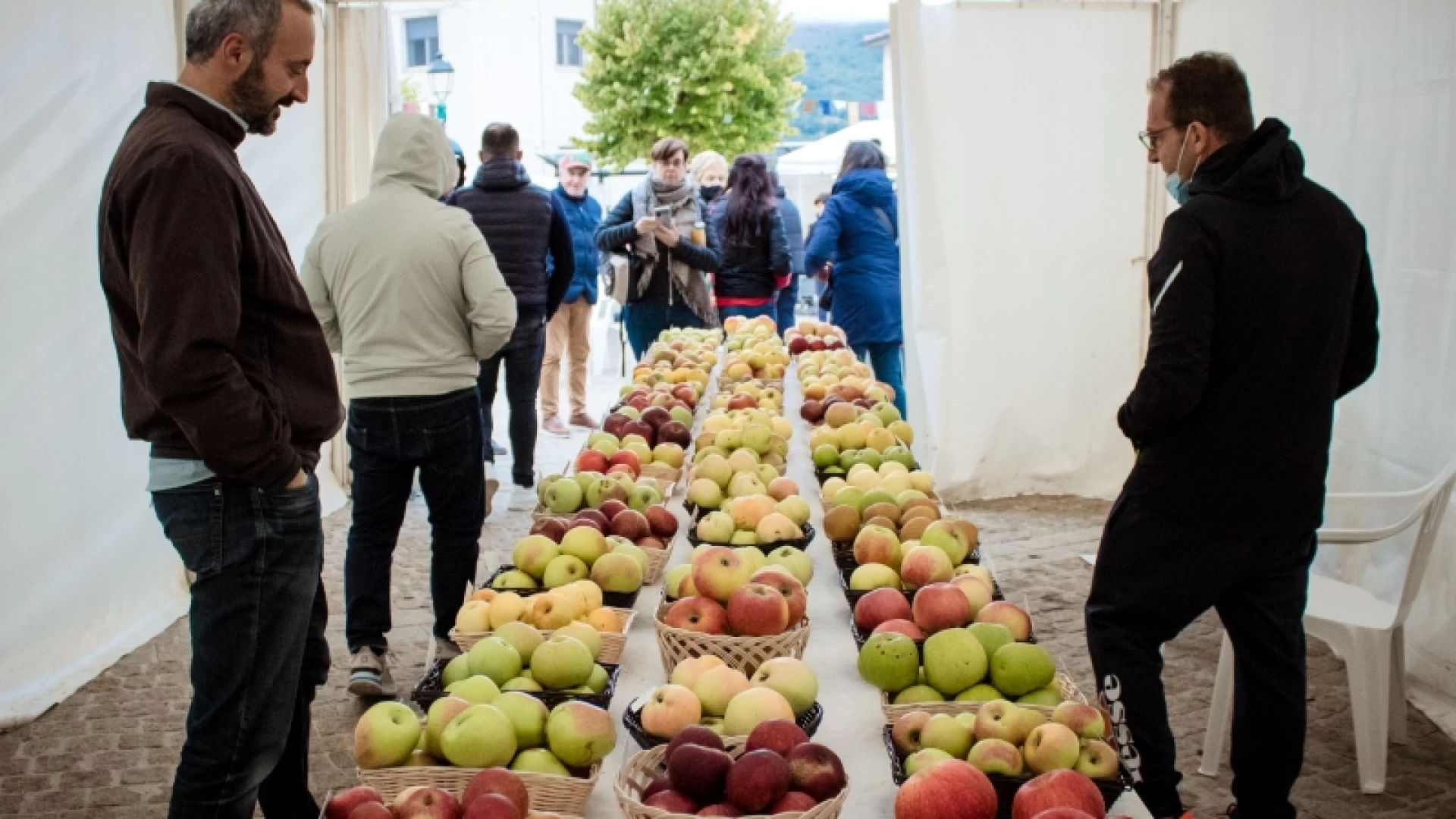 Castel Del Giudice: quinta festa della mela, l’edizione 2022 esperenziale.